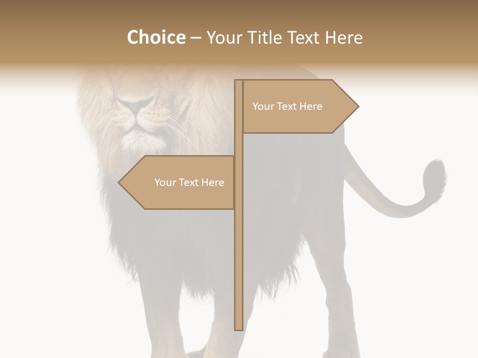 Full Length White Mane PowerPoint Template