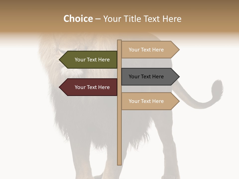 Full Length White Mane PowerPoint Template