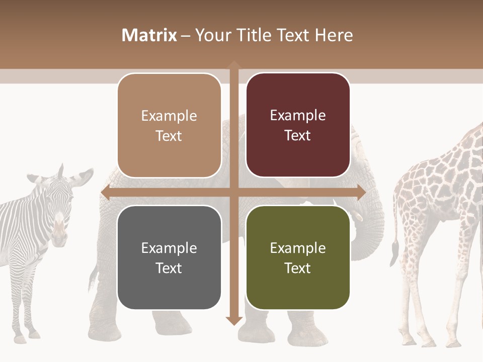Standing Pachyderm African PowerPoint Template