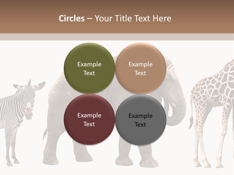 Standing Pachyderm African PowerPoint Template
