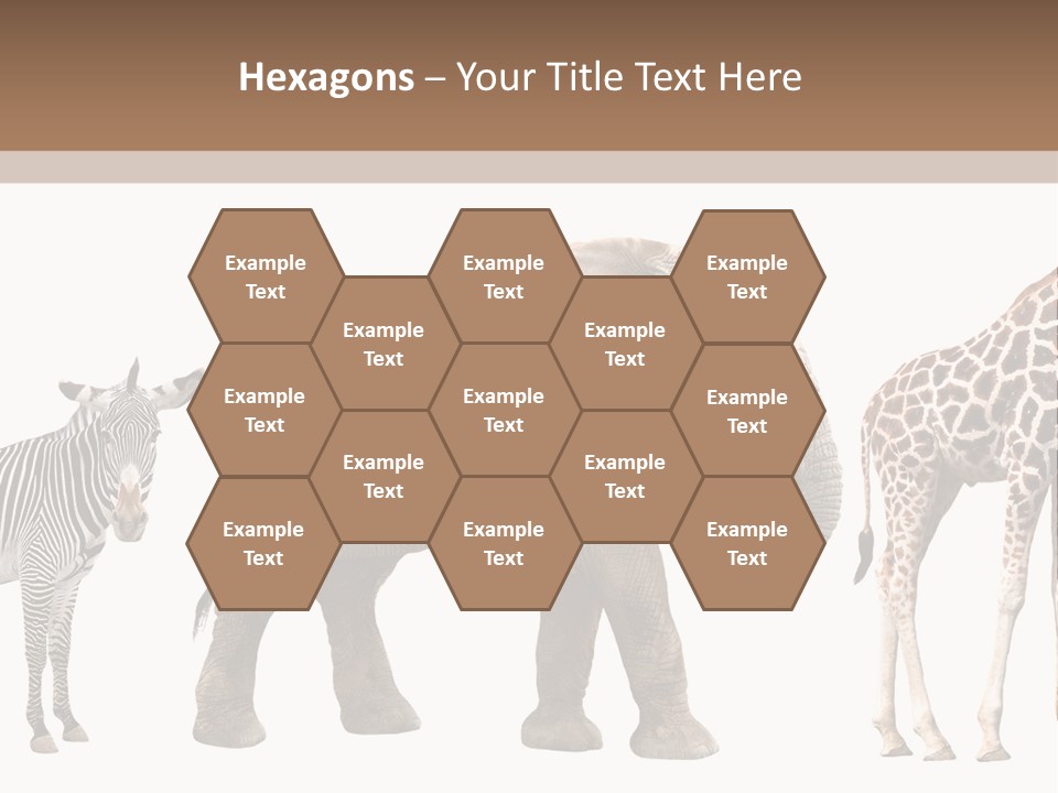 Standing Pachyderm African PowerPoint Template