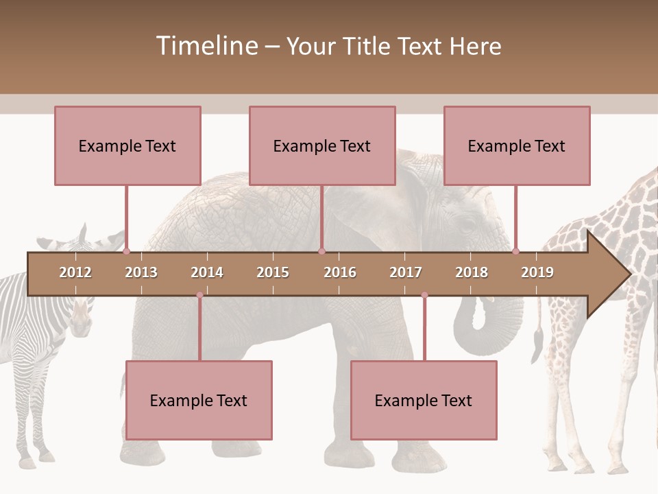 Standing Pachyderm African PowerPoint Template
