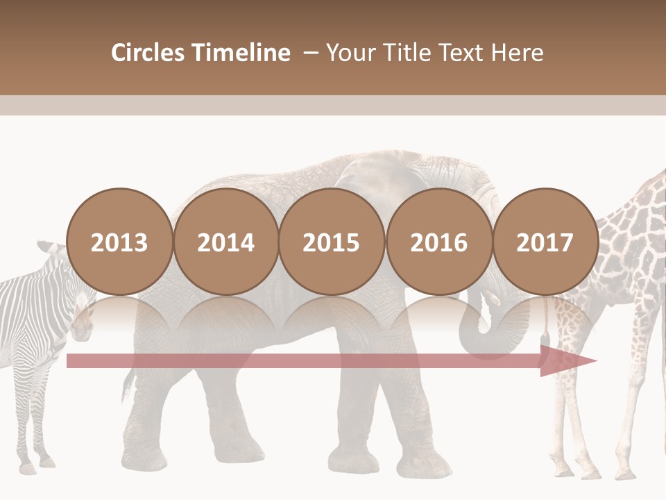 Standing Pachyderm African PowerPoint Template