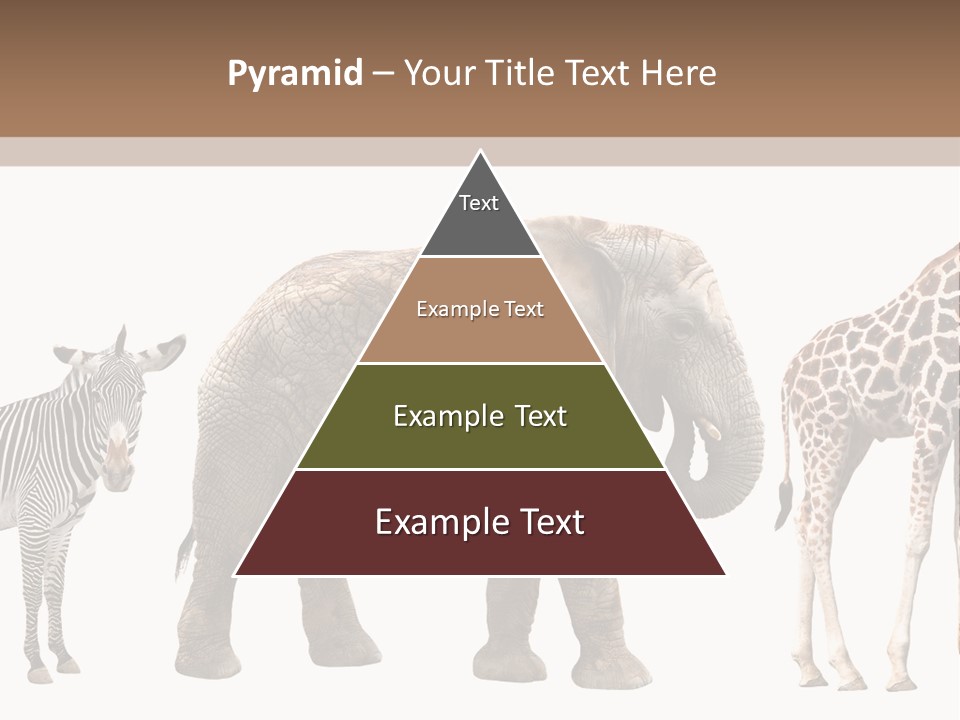 Standing Pachyderm African PowerPoint Template