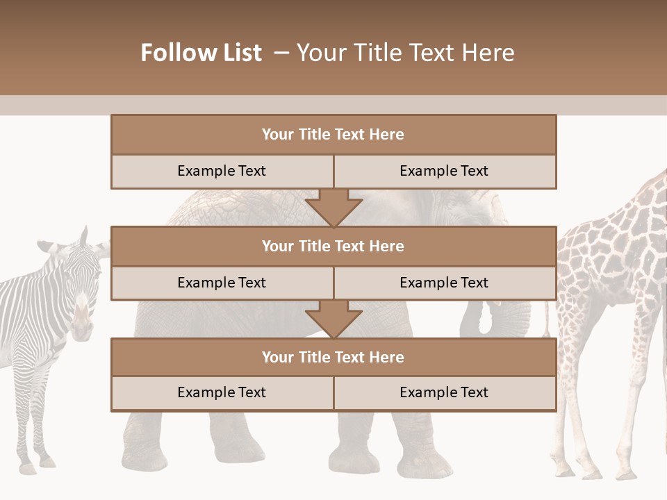 Standing Pachyderm African PowerPoint Template