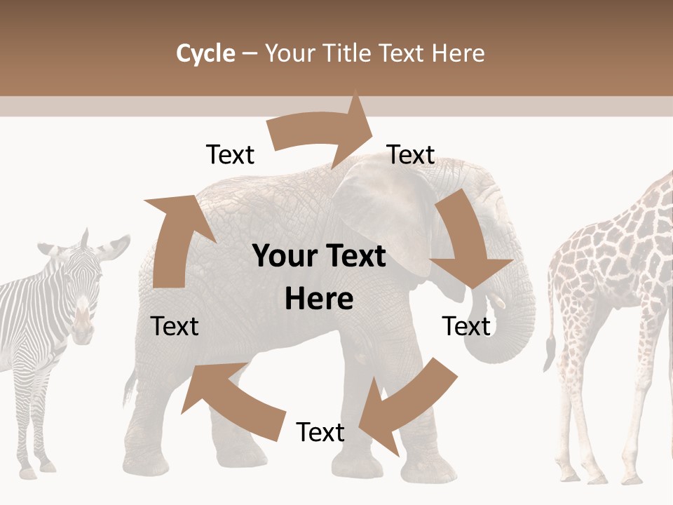 Standing Pachyderm African PowerPoint Template