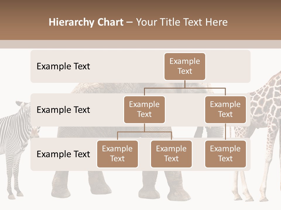 Standing Pachyderm African PowerPoint Template