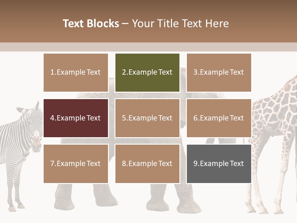 Standing Pachyderm African PowerPoint Template