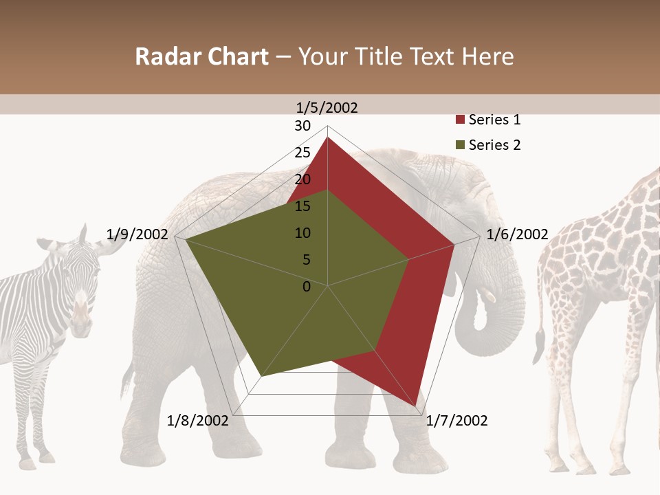 Standing Pachyderm African PowerPoint Template