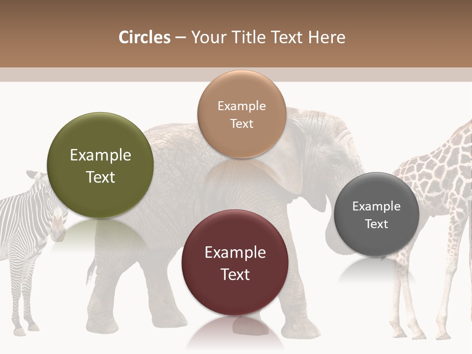 Standing Pachyderm African PowerPoint Template