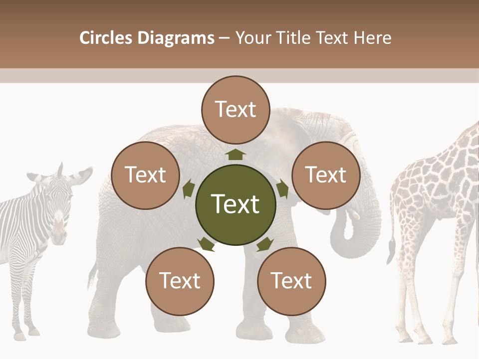 Standing Pachyderm African PowerPoint Template