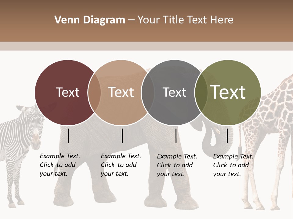 Standing Pachyderm African PowerPoint Template