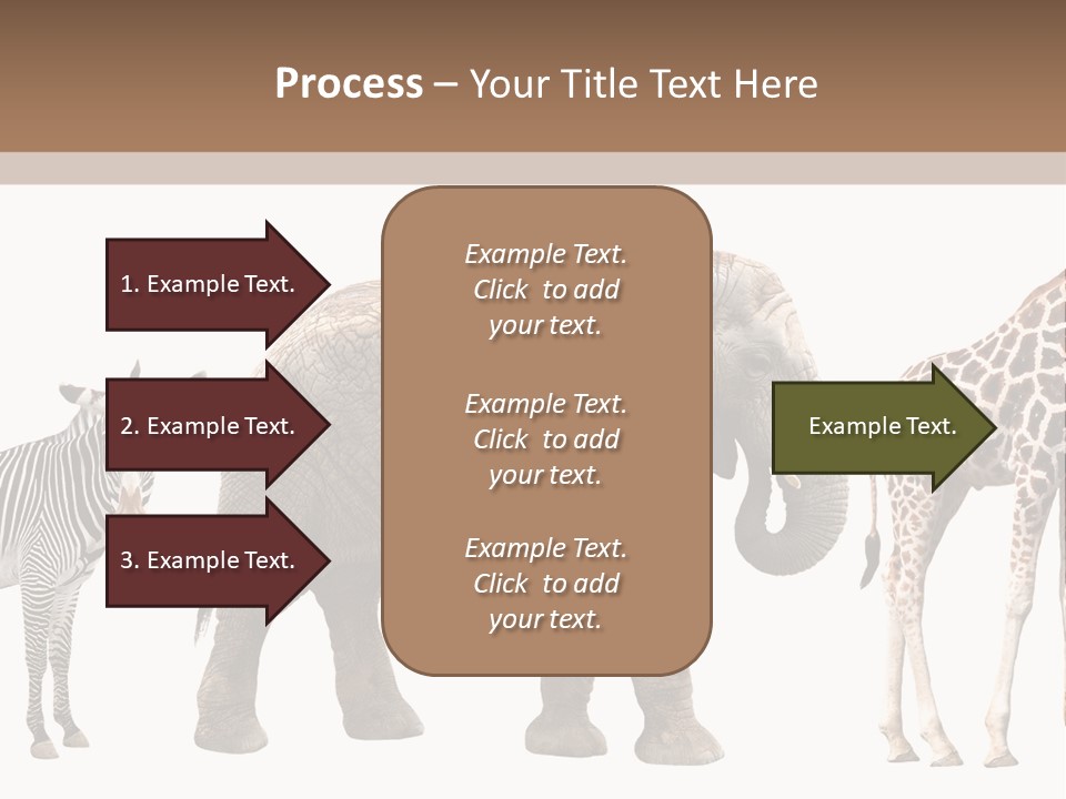 Standing Pachyderm African PowerPoint Template