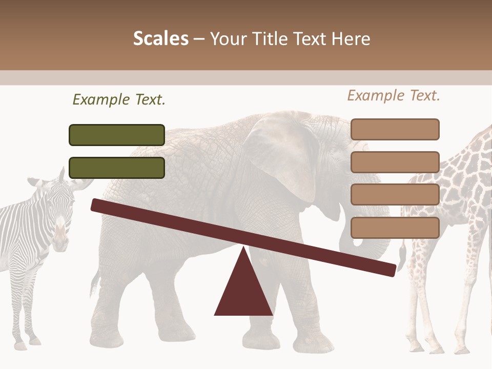 Standing Pachyderm African PowerPoint Template