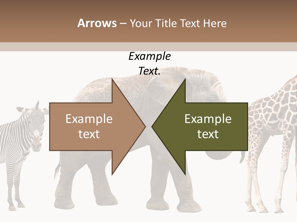 Standing Pachyderm African PowerPoint Template