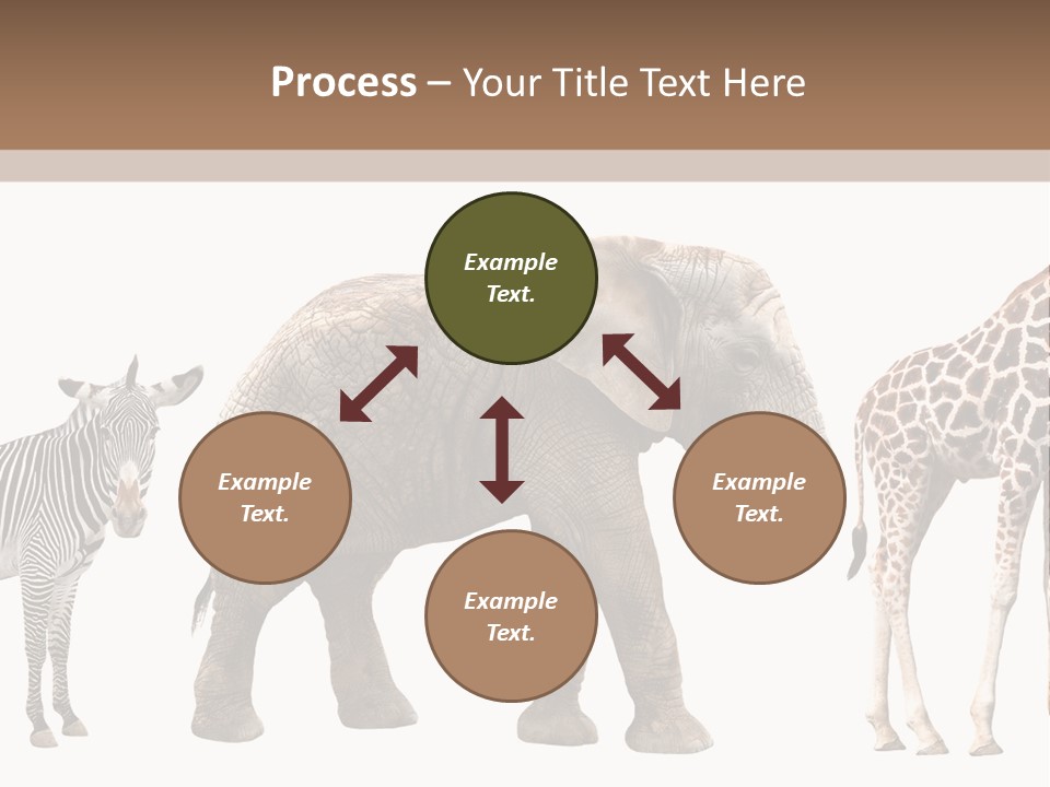 Standing Pachyderm African PowerPoint Template