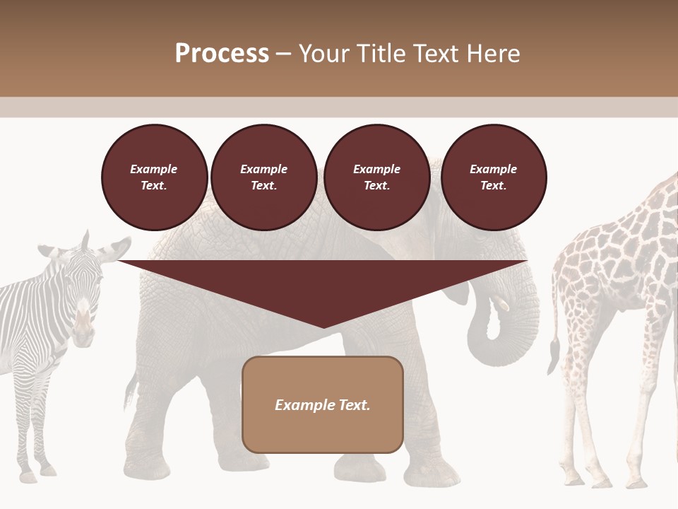 Standing Pachyderm African PowerPoint Template