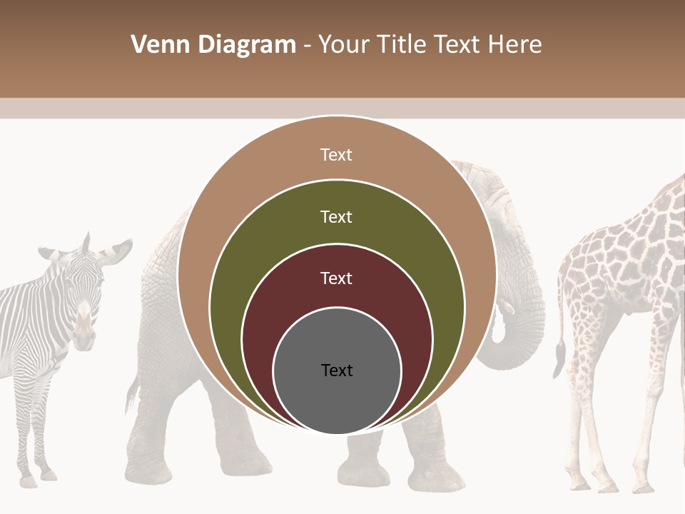 Standing Pachyderm African PowerPoint Template