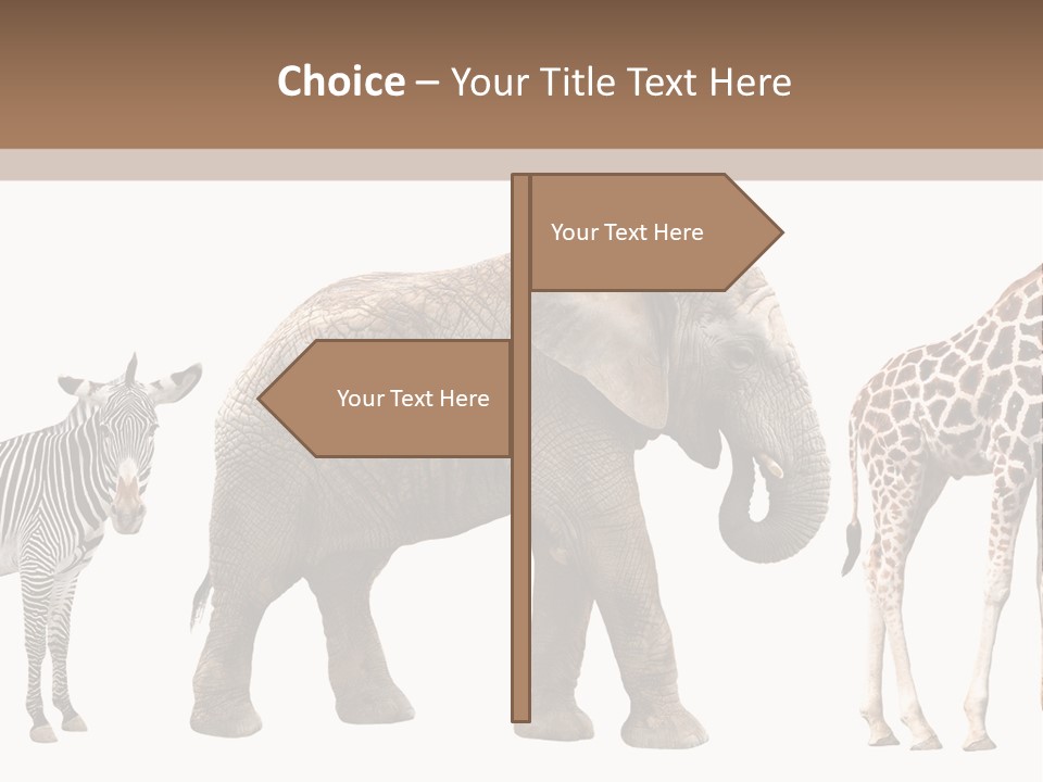 Standing Pachyderm African PowerPoint Template
