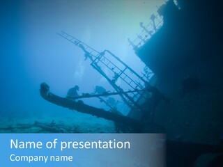 Alcyonaires Aquarium Ange PowerPoint Template