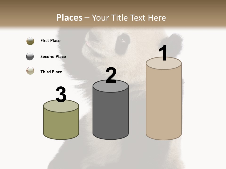 Black Cuddly Seeking PowerPoint Template