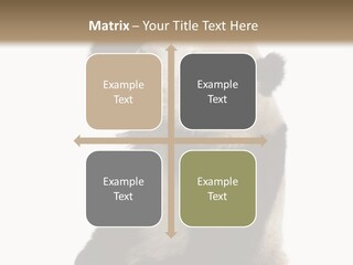 Black Cuddly Seeking PowerPoint Template
