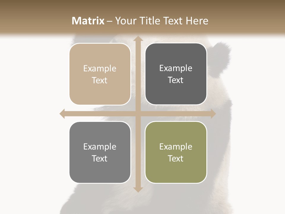 Black Cuddly Seeking PowerPoint Template