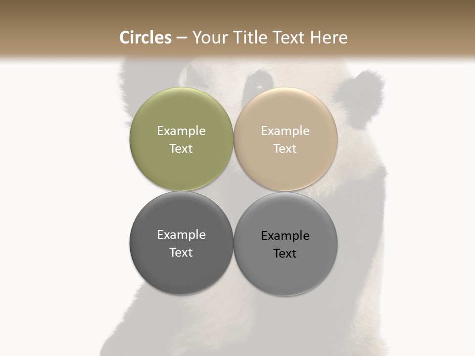 Black Cuddly Seeking PowerPoint Template