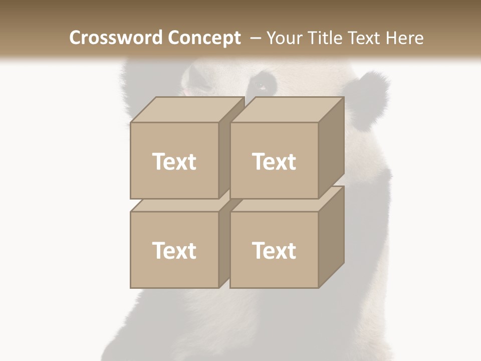 Black Cuddly Seeking PowerPoint Template