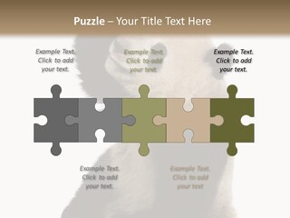 Black Cuddly Seeking PowerPoint Template