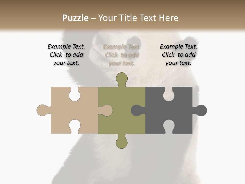 Black Cuddly Seeking PowerPoint Template