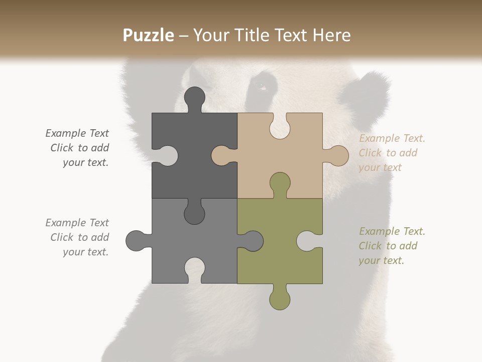 Black Cuddly Seeking PowerPoint Template