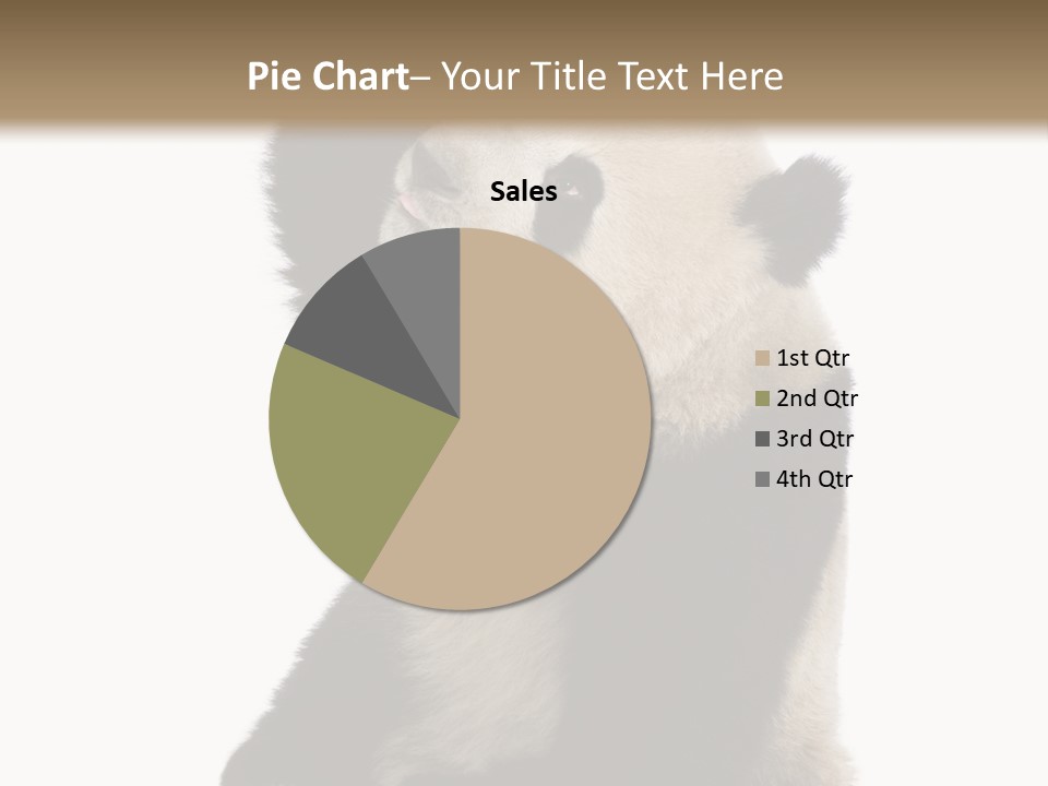 Black Cuddly Seeking PowerPoint Template