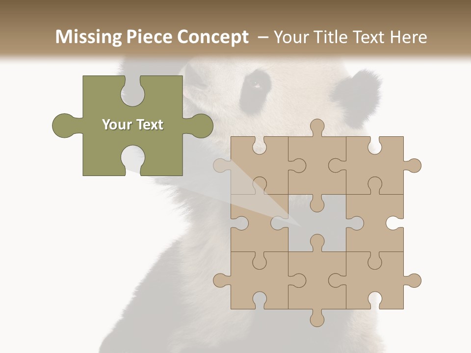 Black Cuddly Seeking PowerPoint Template