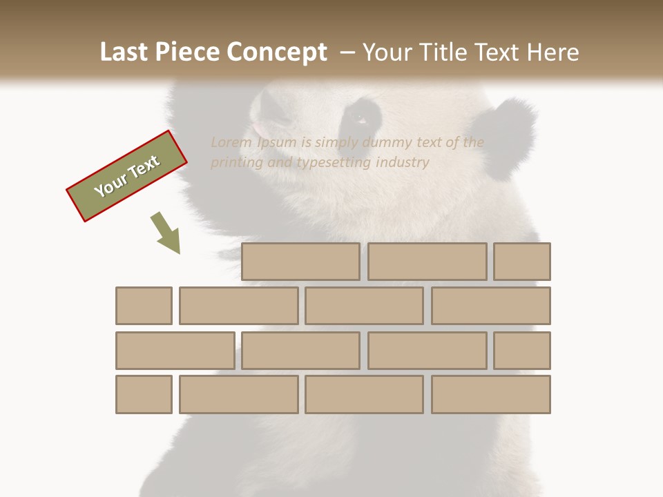 Black Cuddly Seeking PowerPoint Template
