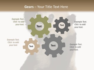 Black Cuddly Seeking PowerPoint Template