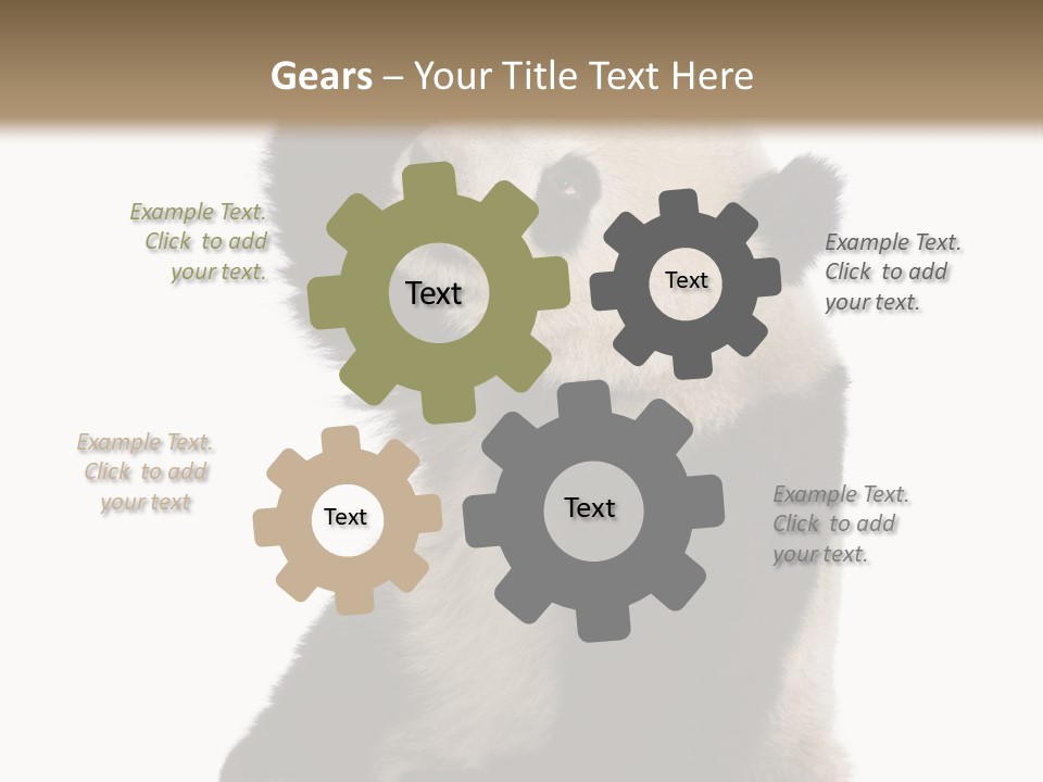 Black Cuddly Seeking PowerPoint Template