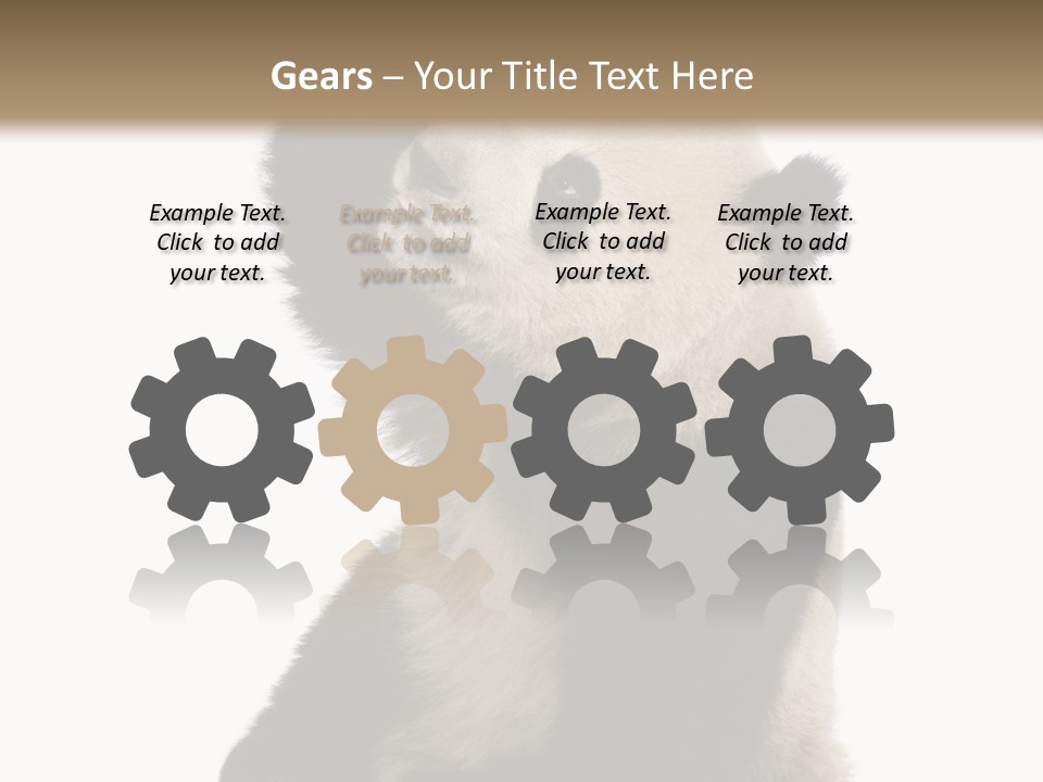 Black Cuddly Seeking PowerPoint Template