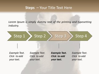 Black Cuddly Seeking PowerPoint Template