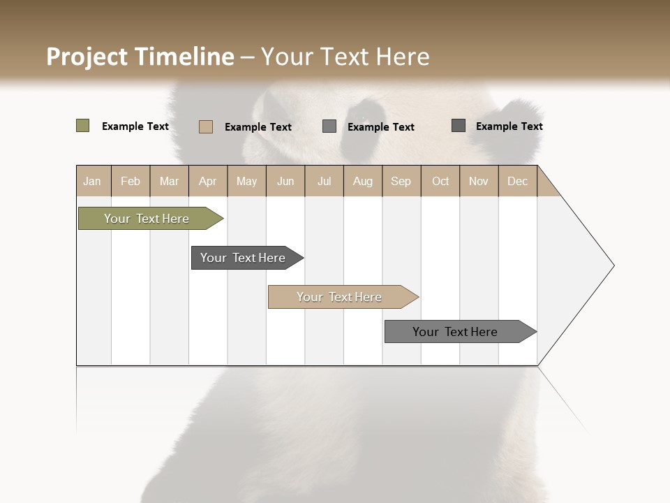 Black Cuddly Seeking PowerPoint Template