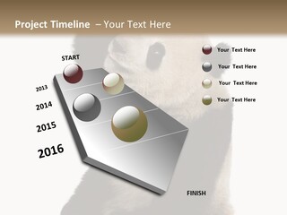 Black Cuddly Seeking PowerPoint Template