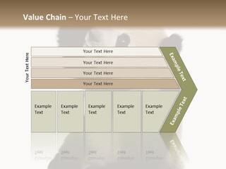 Black Cuddly Seeking PowerPoint Template