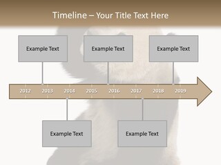 Black Cuddly Seeking PowerPoint Template