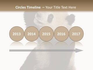 Black Cuddly Seeking PowerPoint Template