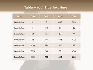 Black Cuddly Seeking PowerPoint Template