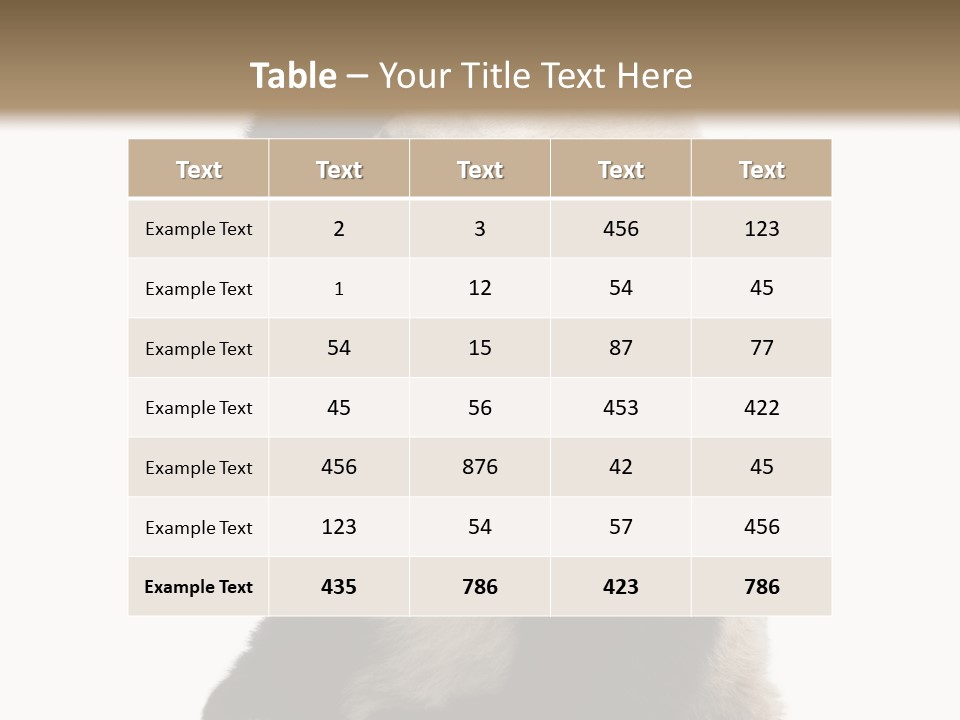 Black Cuddly Seeking PowerPoint Template