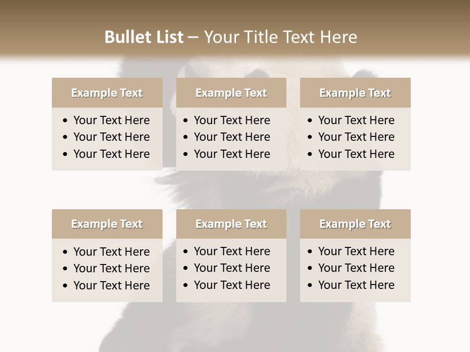 Black Cuddly Seeking PowerPoint Template