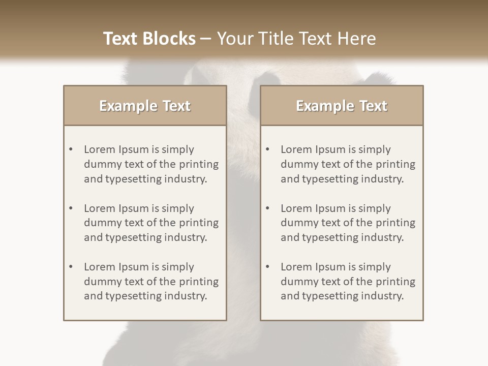 Black Cuddly Seeking PowerPoint Template