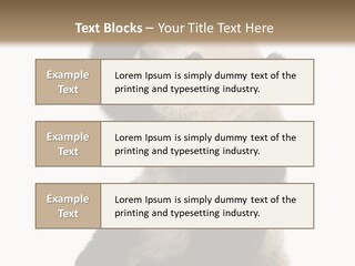 Black Cuddly Seeking PowerPoint Template