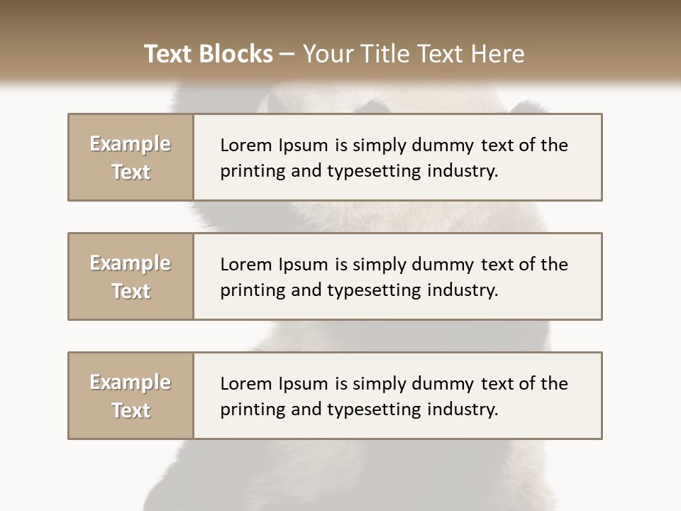 Black Cuddly Seeking PowerPoint Template